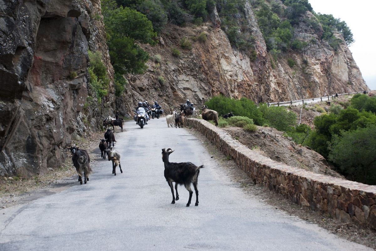 Circuit moto en Corse du Sud, entre mer et montagne