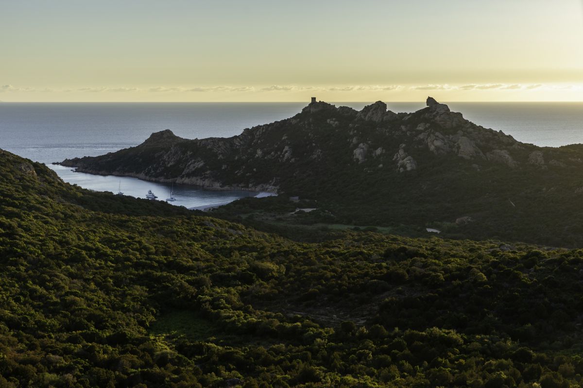 Itinéraire de randonnée près du Lion de Roccapina en Corse du Sud